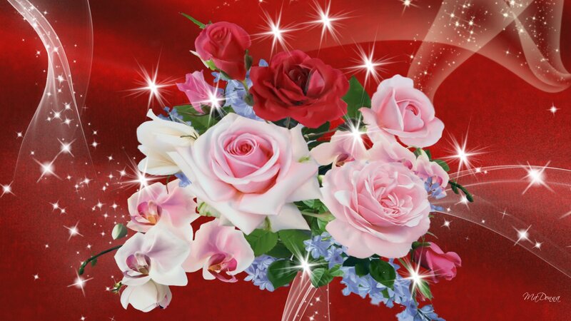 Bouquet of Roses and Orchids — Red