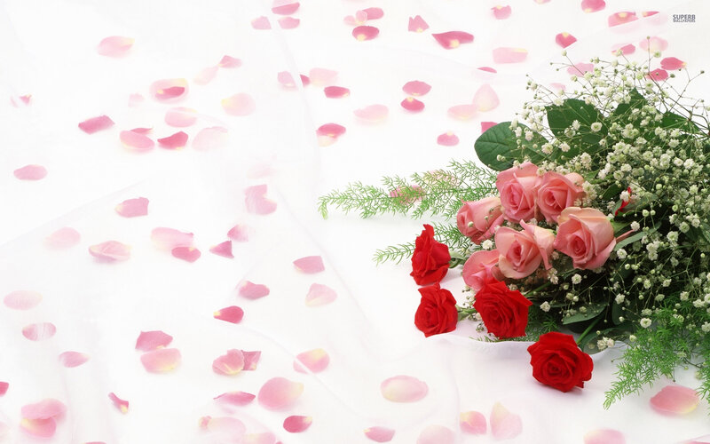 Bouquet of Roses and Petals