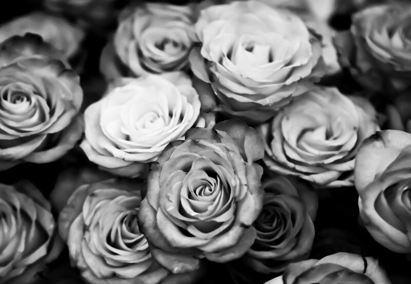 Bouquet of Roses — Black, Calm