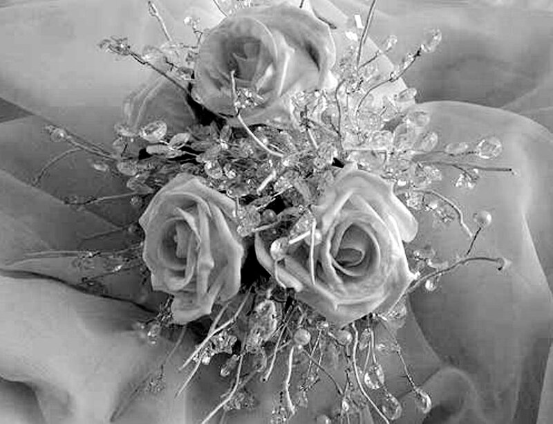 Bouquet of Roses — Black, Elegant