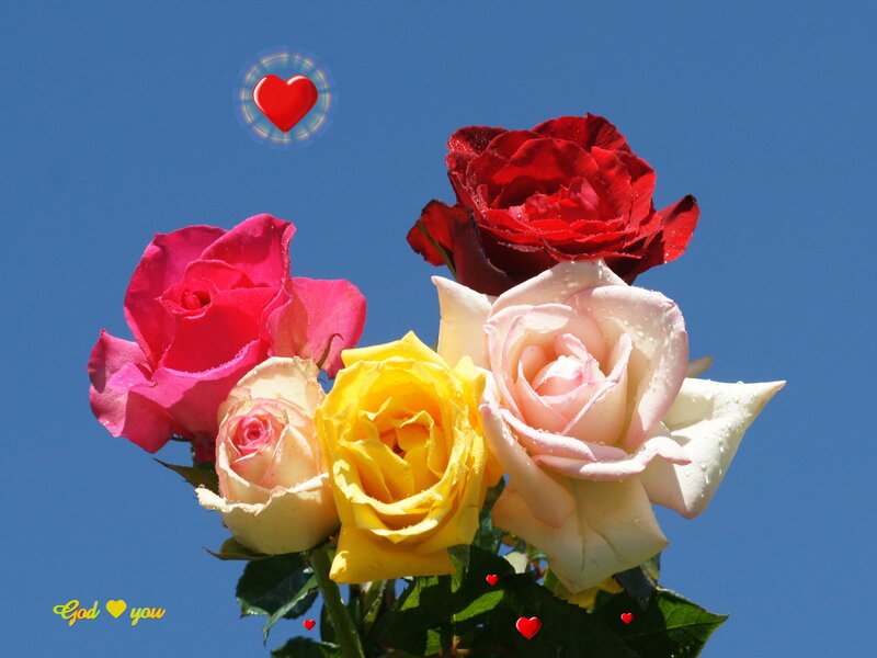 Bouquet of Roses — Blue