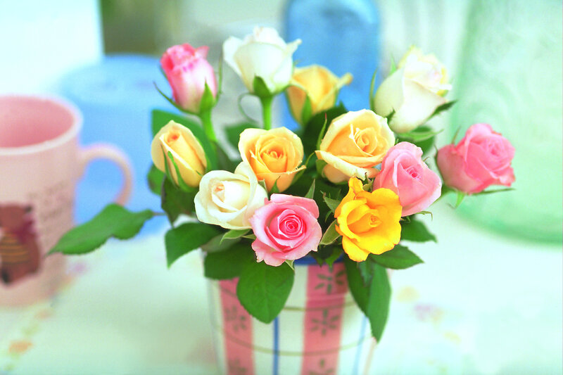 Bouquet of Roses in Vase — Pink, Calm