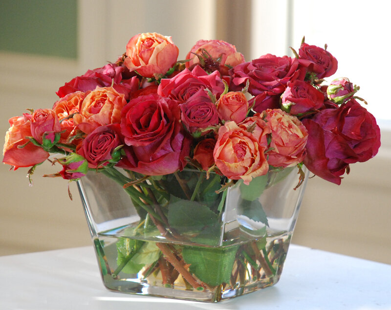 Bouquet of Roses in Vase — Red, Calm, Afternoon