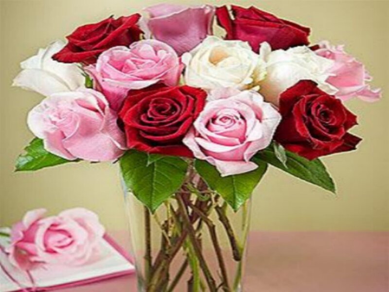 bouquet of roses in vase