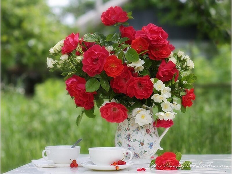 Bouquet of Roses on Table