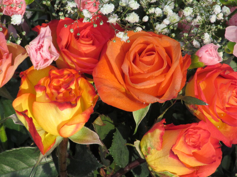 Bouquet of Roses — Orange, Bright