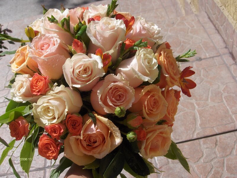 Bouquet of Roses — Pink, Calm, Afternoon