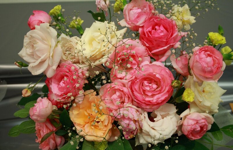Bouquet of Roses — Pink, Calm, Photograph, Baby's Breath, Green Leaves