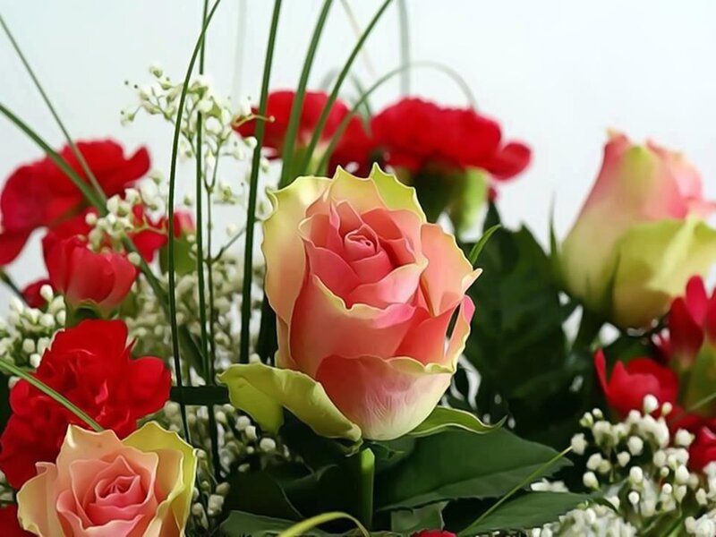 Bouquet of Roses — Pink, Calm, Photograph, Carnations