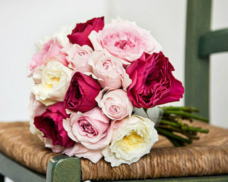 Bouquet of Roses — Pink, Calm, Photograph, Chair