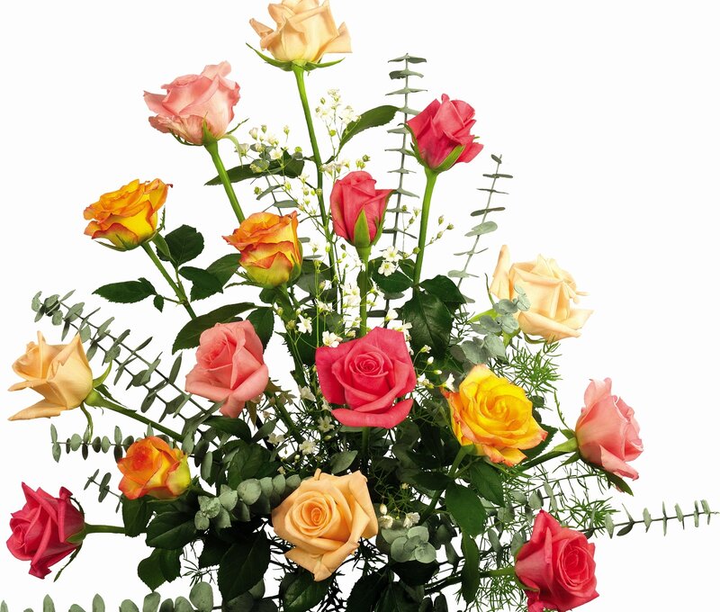Bouquet of Roses — Pink, Calm, Photograph, Eucalyptus