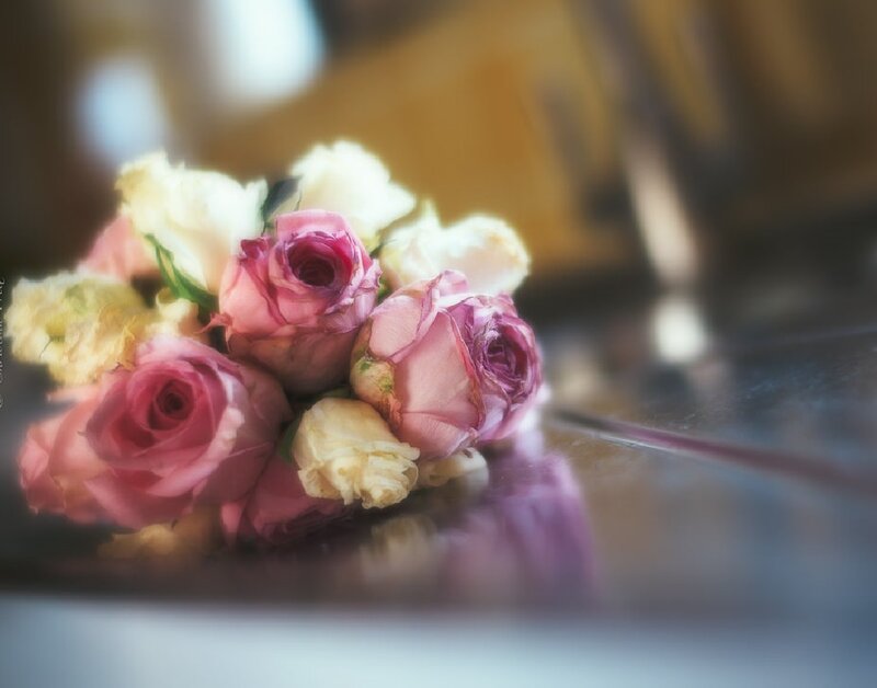 Bouquet of Roses — Pink, Calm, Photograph, Flowers, Table