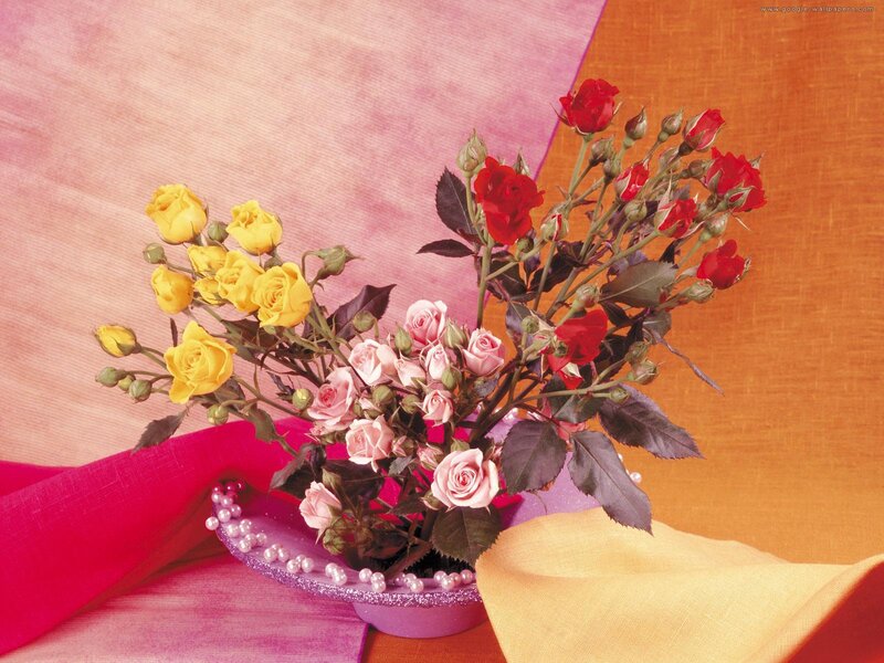 Bouquet of Roses — Pink, Calm, Photograph