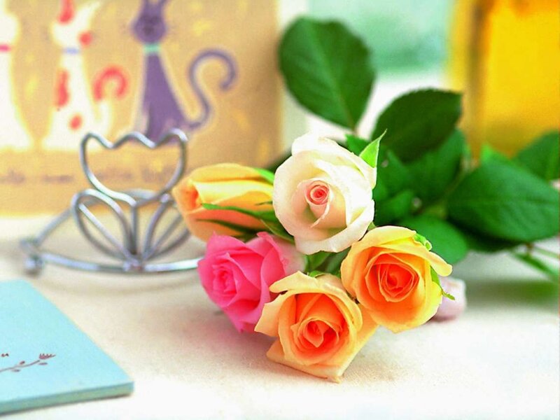 Bouquet of Roses — Pink, Calm