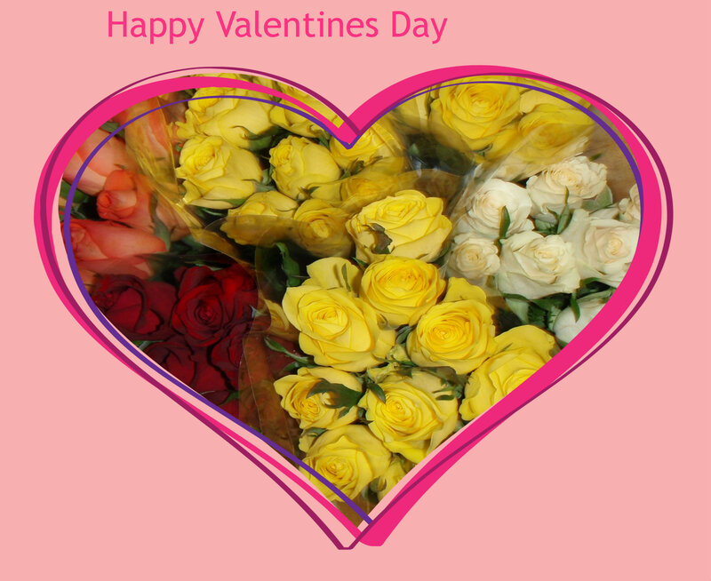 Bouquet of Roses — Pink, Celebratory, Photograph