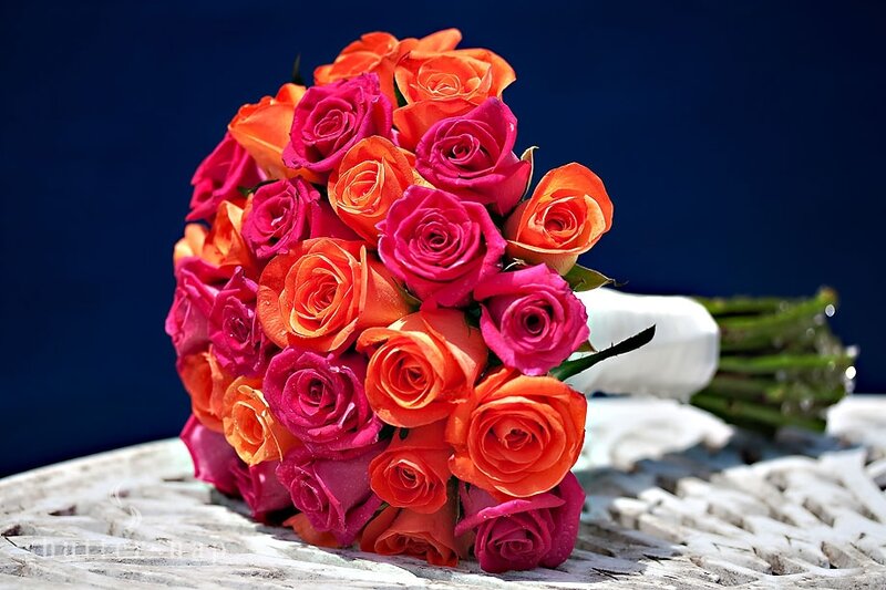 Bouquet of Roses — Pink, Dramatic, Afternoon