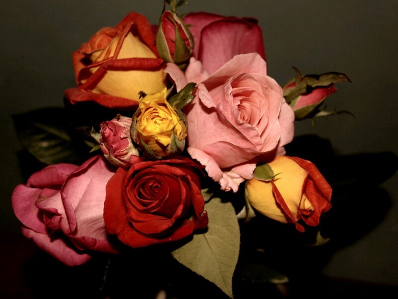 Bouquet of Roses — Pink, Dramatic, Night