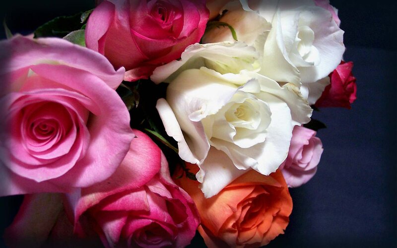 Bouquet of Roses — Pink, Dramatic, Photograph