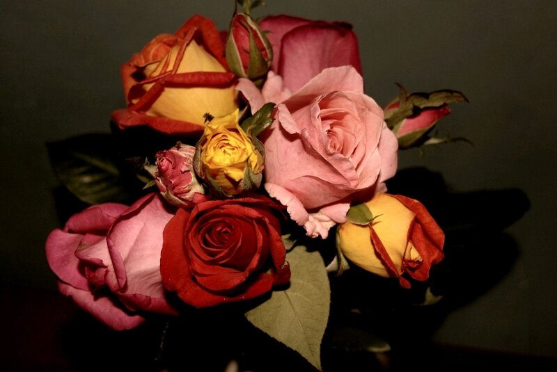Bouquet of Roses — Pink, Dramatic
