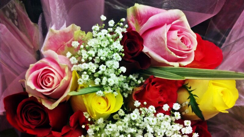 Bouquet of Roses — Pink, Festive, Photograph