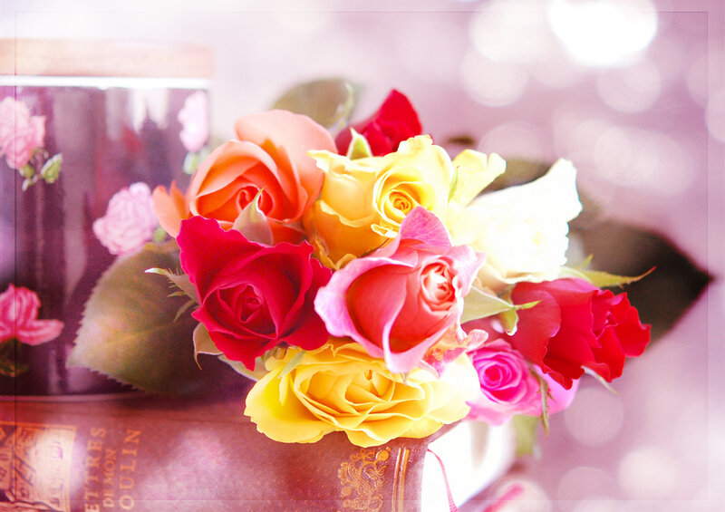 Bouquet of Roses — Pink, Romantic, Photograph, Book