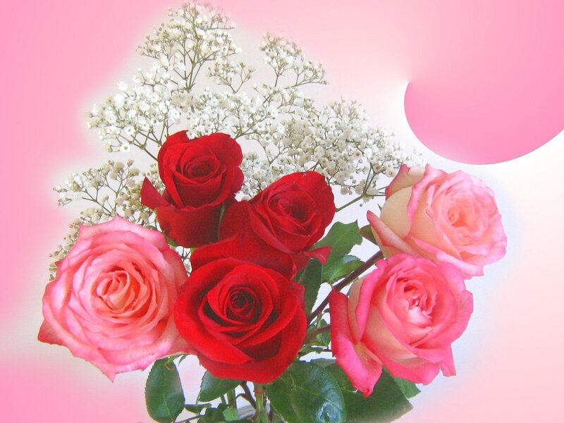 Bouquet of Roses — Pink, Romantic, Photograph