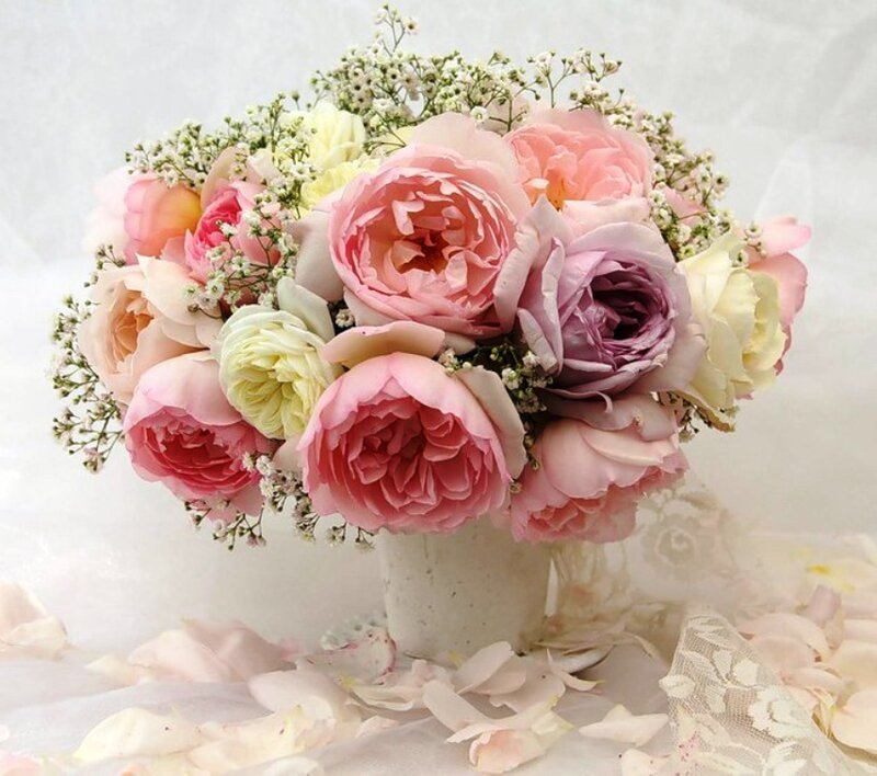 Bouquet of Roses — Pink, Serene, Photograph, Baby's Breath