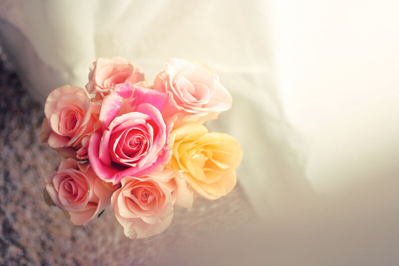 Bouquet of Roses — Pink, Soft