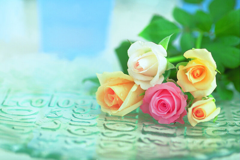 Bouquet of Roses — Pink