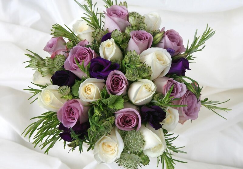 Bouquet of Roses — Purple, Calm, Photograph, Greenery