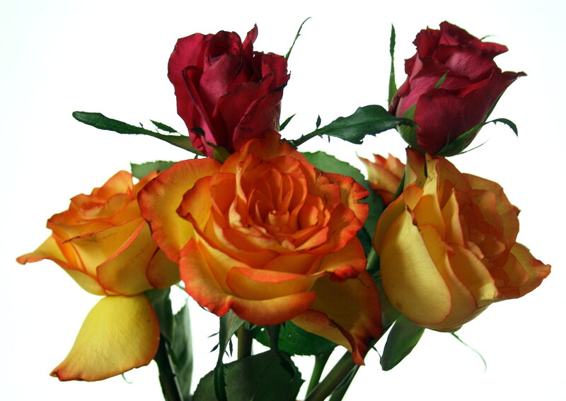 Bouquet of Roses — Red, Calm, Photograph, Flowers, Leaves