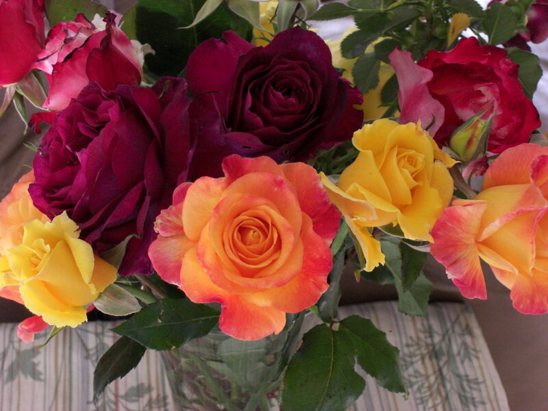 Bouquet of Roses — Red, Calm, Photograph, Vase