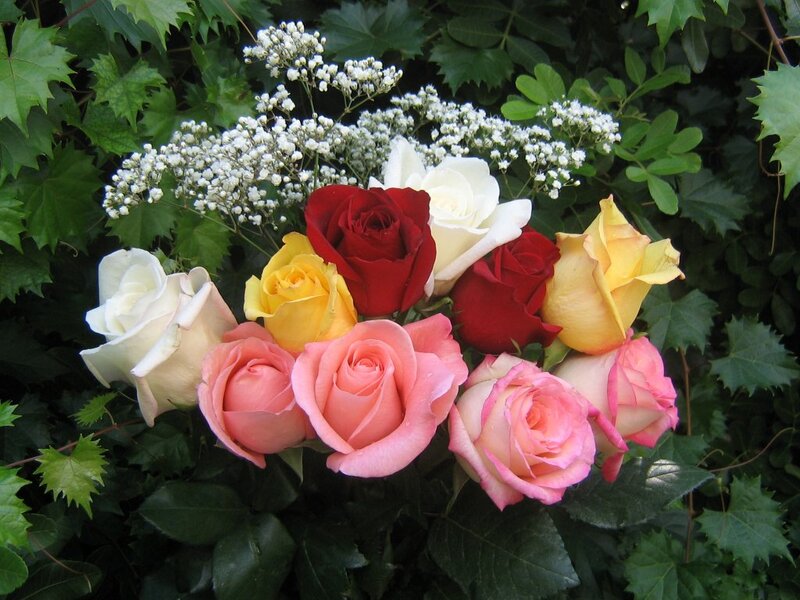 Bouquet of Roses — Red, Calm, Summer
