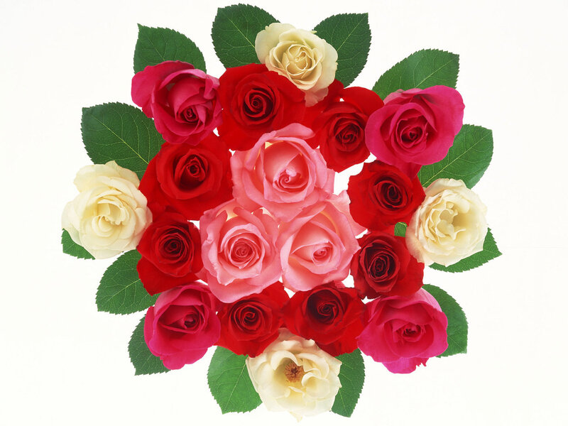 Bouquet of Roses — Red, Calm