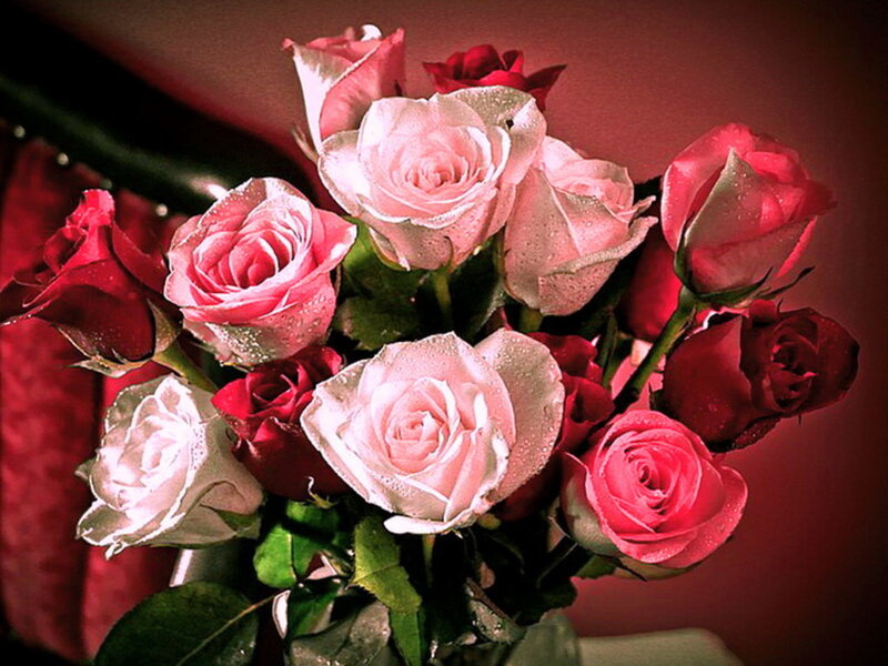 Bouquet of Roses — Red, Dramatic