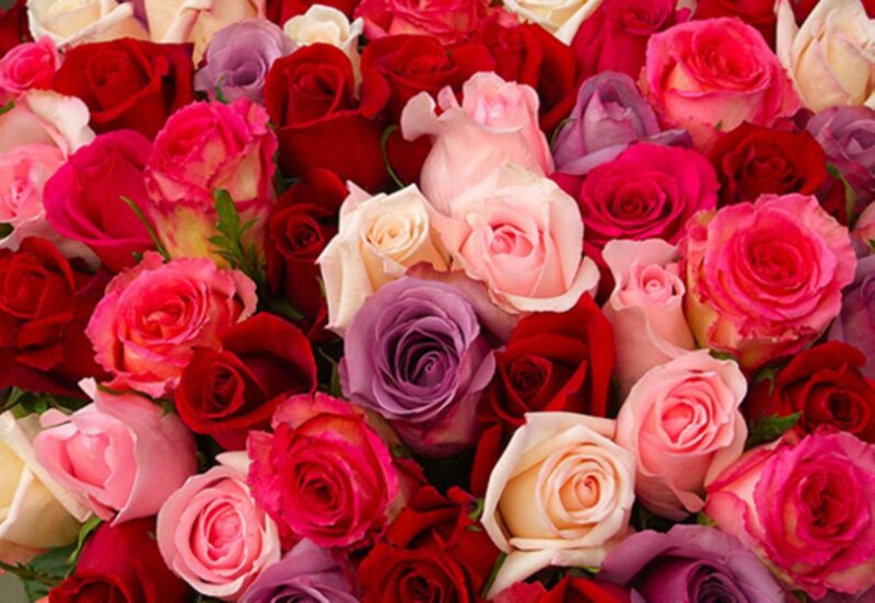 Bouquet of Roses — Red, Festive