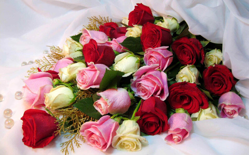 Bouquet of Roses — Red, Romantic, Photograph, Pearls