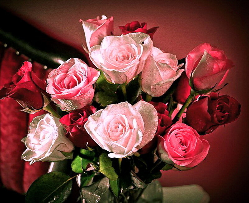 Bouquet of Roses — Red, Romantic