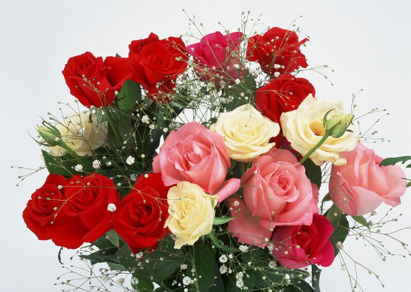 Bouquet of Roses — Red