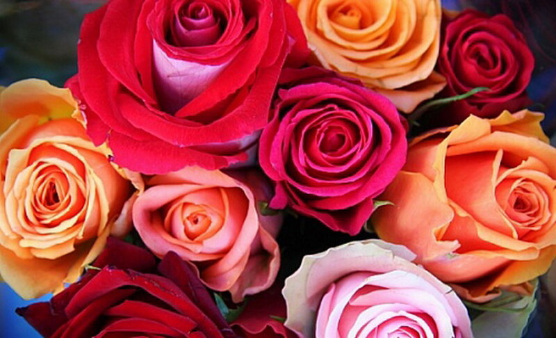 Bouquet of Roses — Red, Vibrant, Photograph