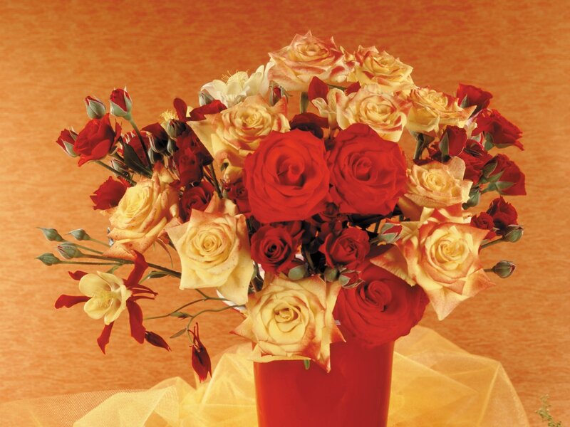 Bouquet of Roses — Red, Warm, Photograph, Vase
