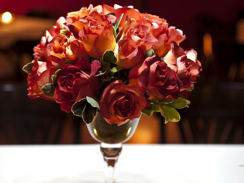 Bouquet of Roses — Red, Warm