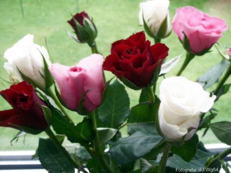 bouquet of roses