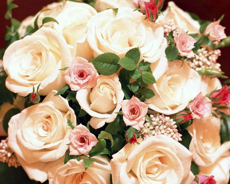 Bouquet of Roses — White, Calm, Photograph, Green Leaves, Small Flowers, Flower Buds