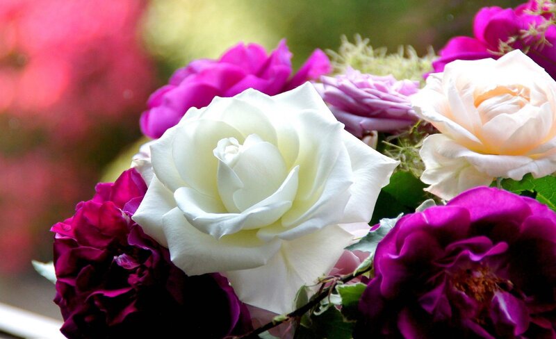 Bouquet of Roses — White, Serene, Spring