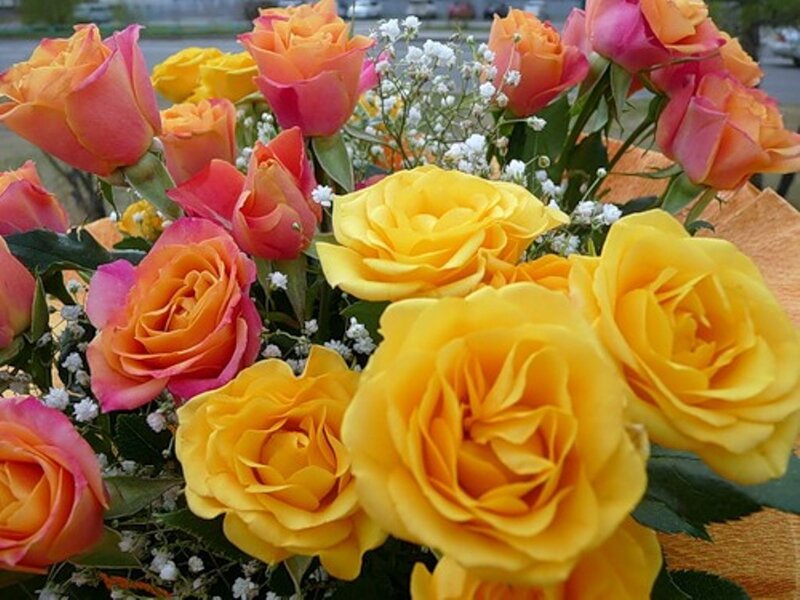 Bouquet of Roses — Yellow, Calm, Afternoon