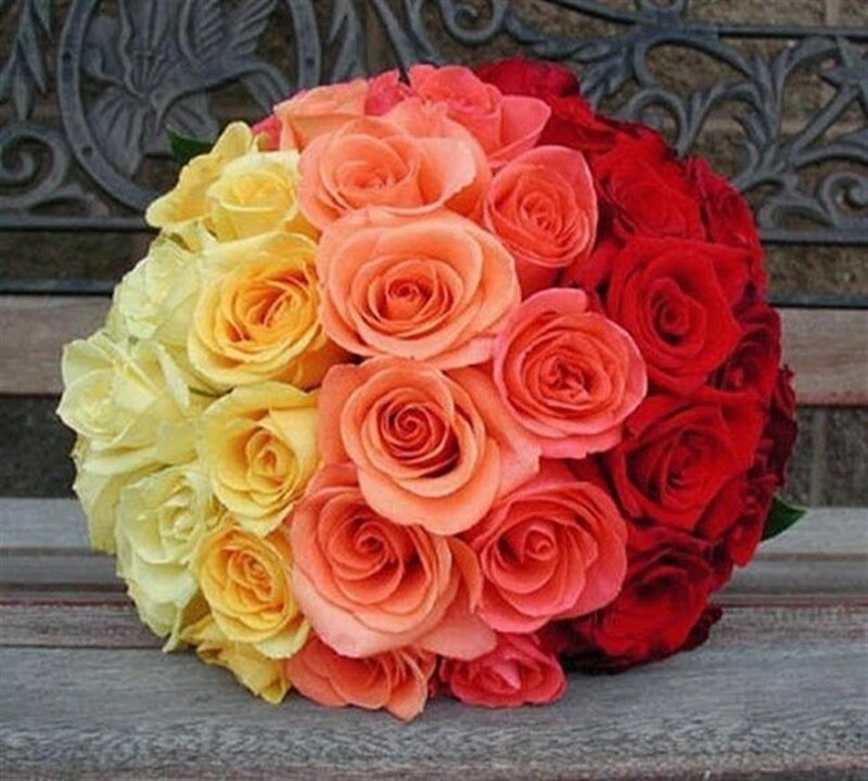 Bouquet of Roses — Yellow, Calm, Photograph, Bench