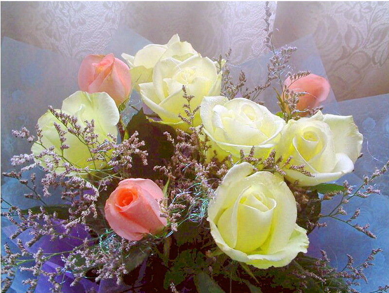 Bouquet of Roses — Yellow, Calm, Photograph
