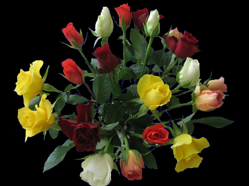 Bouquet of Roses — Yellow, Calm