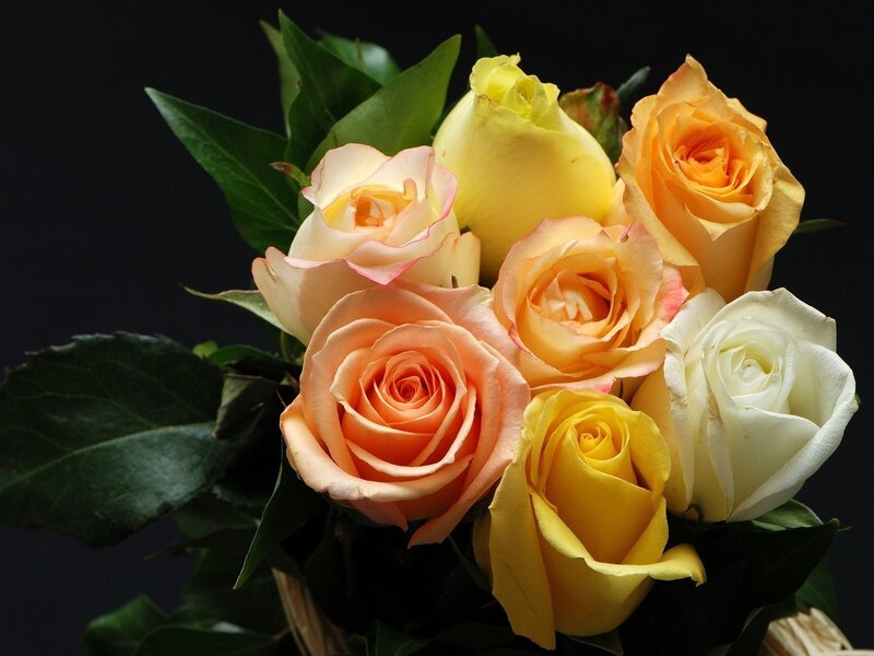 Bouquet of Roses — Yellow, Dramatic, Photograph, Leaves